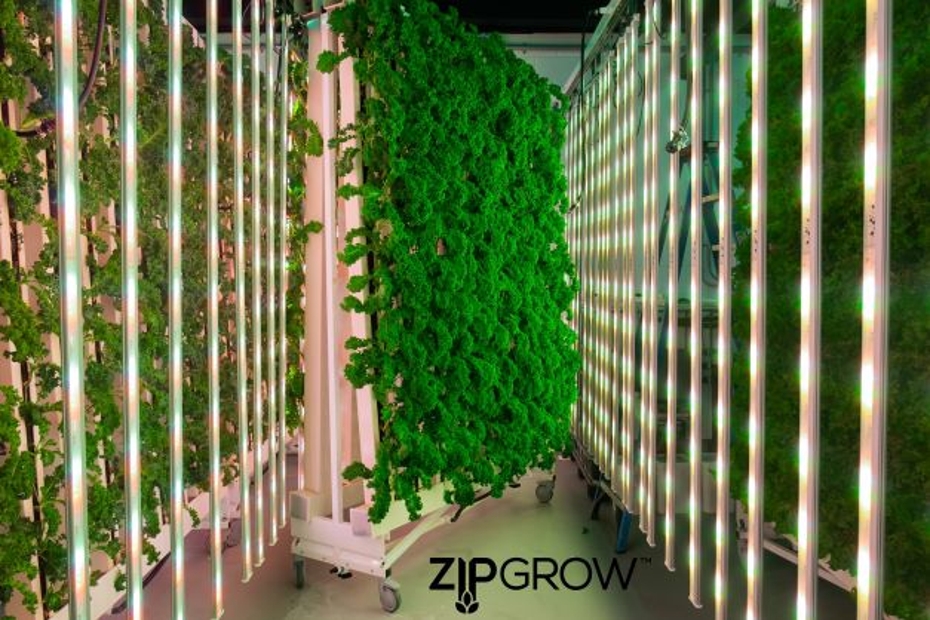 Indoor vertical crops with ZipGrow logo